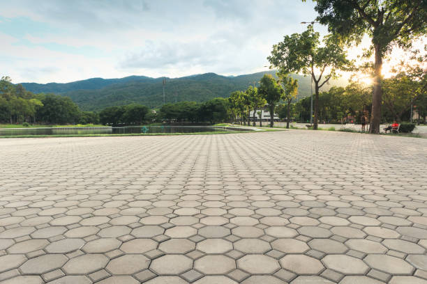 Best Custom Driveway Pavers  in West Samoset, FL